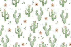 Papel de parede cactus