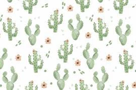 Papel de parede cactos em fundo branco