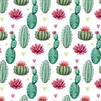 Papel de parede cactus e flores
