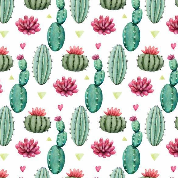 Papel de parede cactus e flores