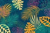 Papel de Parede Folhas tropicais com fundo verde