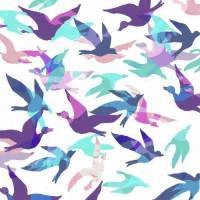 Papel de parede pássaros