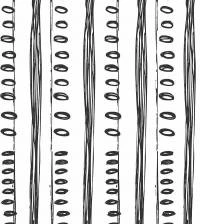 Papel de parede riscado P&B 3048-7449
