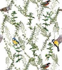 Papel de parede pássaros pardais 3094-7524