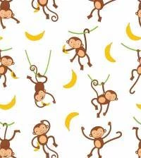 Papel de parede adesivo macaquinhos 3109-7560
