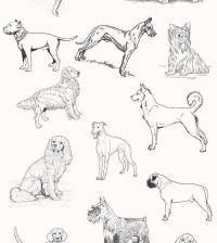Papel de parede adesivo cães 3110-7561