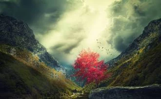 Papel de parede Paisagem montanhas