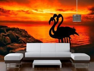 Papel de parede Flamingo por do sol