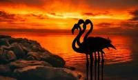 Papel de parede Flamingo por do sol 3155-7640