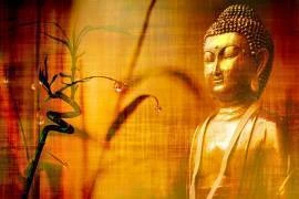 Papel de parede adesivo Pintura Zen