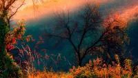 Papel de parede paisagem naruteza