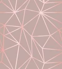 Papel de Parede Zara rosê star 3257-7840