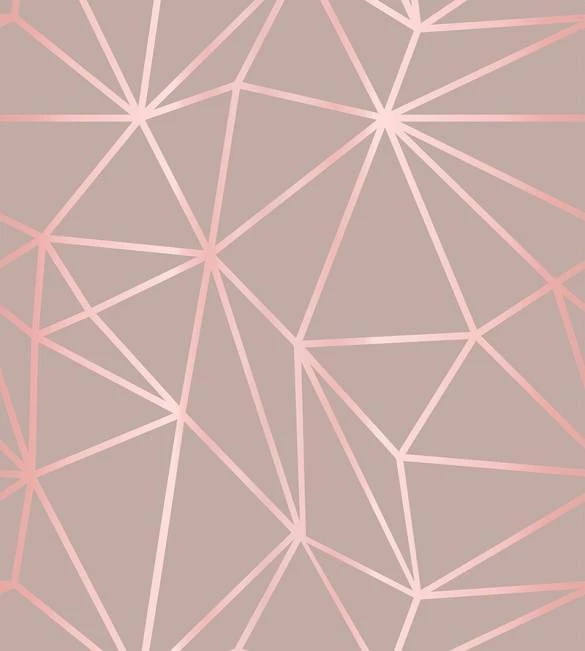 Papel de Parede Zara rosê star 3257-7840
