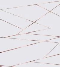 Papel de parede zara risco rosê 3266-7861