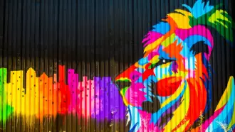 Papel de parede Grafite Lion