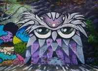 Papel de parede Grafite coruja