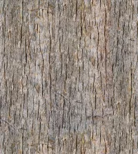 Papel de parede madeira cascalhos de arvore 3399-8183