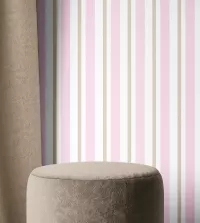Papel de parede adesivo listrado feminino 3420-8246