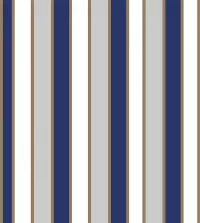 Papel de parede adesivo listrado de azul menino 3421-8248