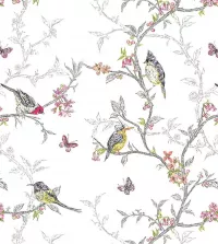 Papel de parede jardim e pássaros 3433-8287
