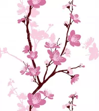 Papel de parede Flor de cerejeira tons rosa 3493-8465