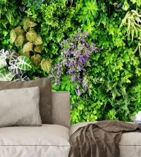 Papel de parede jardim vertical 3542-8576