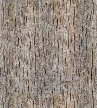 Papel de parede madeira casca de arvore 3554-8620