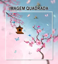 Foto Mural Infantil flor de cerejeira 3563-8651