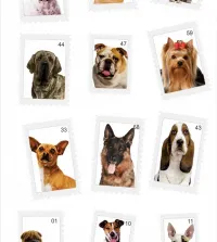 Papel de parede Pet Dogs 3599-8751